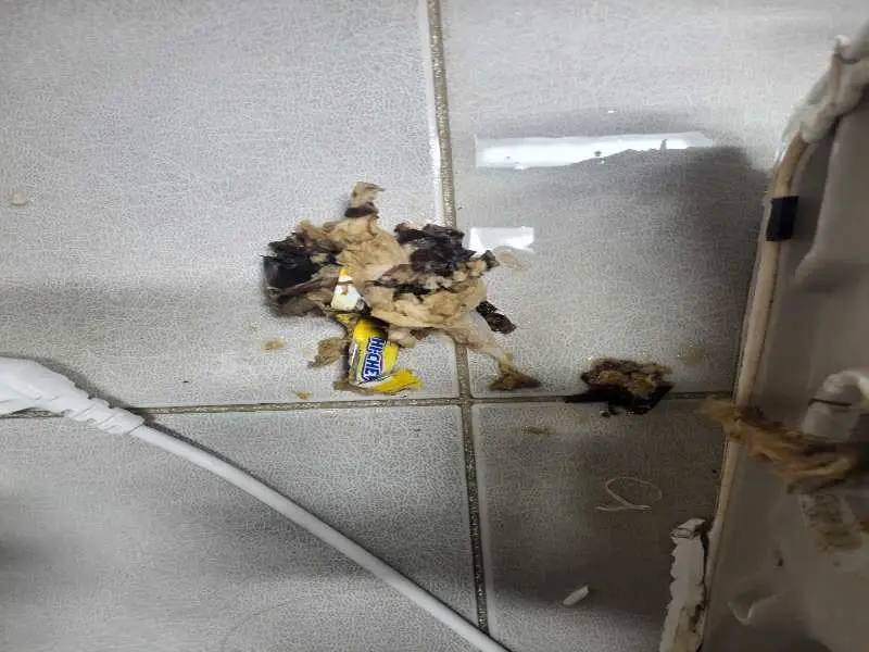광진구 배관 이물질 제거 사례 1